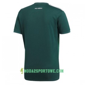 Koszulka Meksyk Damska Mistrzostwa Świata 2018 Domowe Stroje Piłkarskie